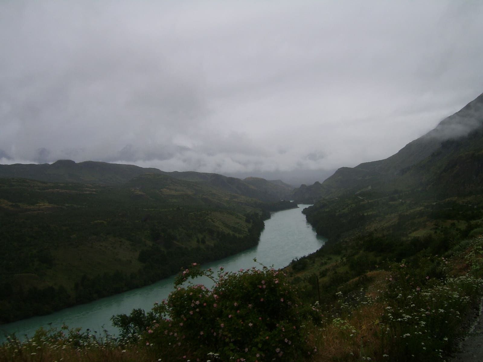 The Baker River between forested mountains in Chilean Patagonia